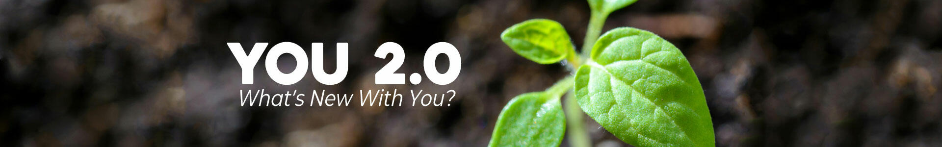 You 2.0