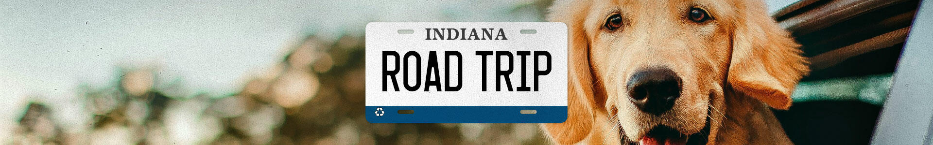 Road Trip