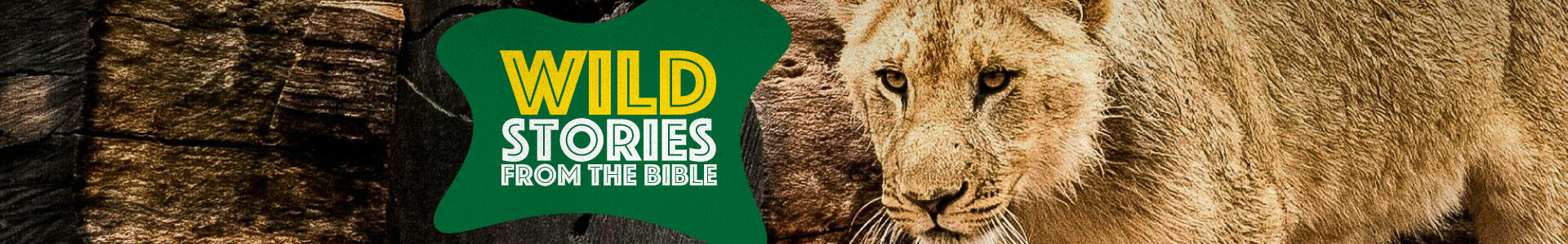 Wild Stories From The Bible