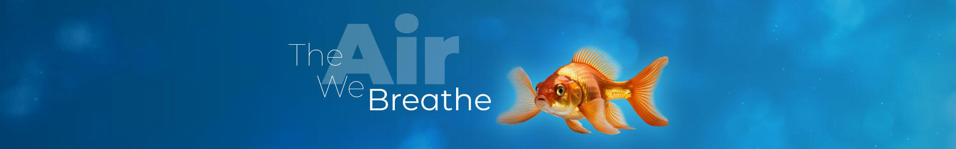 The Air We Breathe