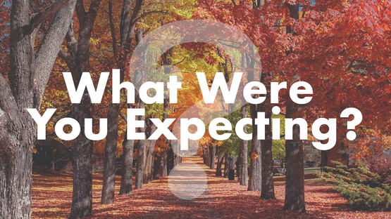 What Were You Expecting?