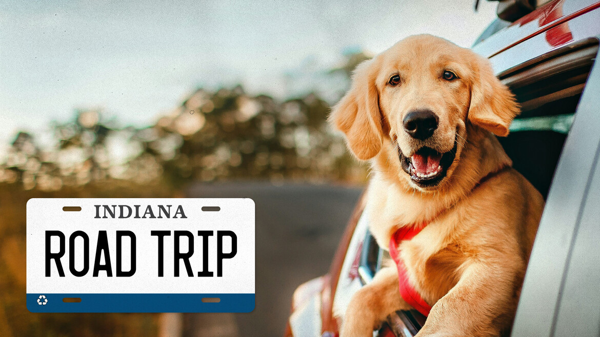 Road Trip