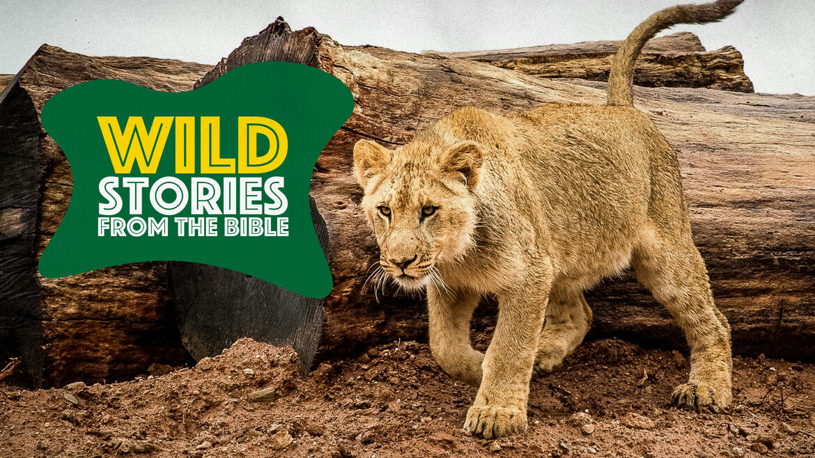 Wild Stories From The Bible