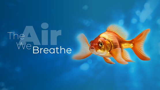 The Air We Breathe